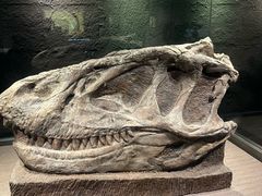 -自贡恐龙博物馆