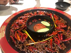 红白鸳鸯-骉骉老火锅(铁像寺路店)