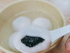 黑芝麻汤圆-祥记汤圆(东宝兴路店)