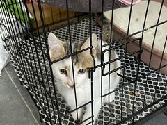 -王裕興肉莊(南禅寺店)