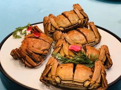 -万荣烤鸭店·北京菜(天坛店)