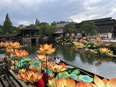 -乌镇景区