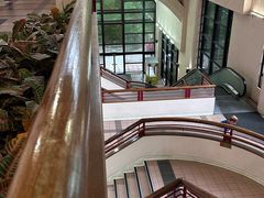 -香港大学