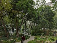 -成都市活水公园