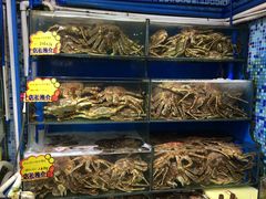 -蚝专家(北滘店)