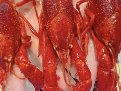 -靓靓蒸虾·头牌蒸虾(南山桂庙店)