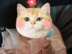 -Tubestation站点比萨(高新万达ONE店)