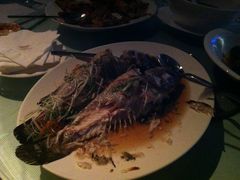 IMG_5128-上海雅居乐万豪侯爵酒店