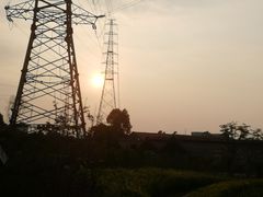 -王借岗森林公园