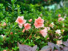 -龙环葡韵住宅式博物馆