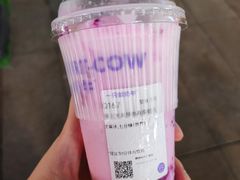 -一只酸奶牛(洪崖洞11楼店)