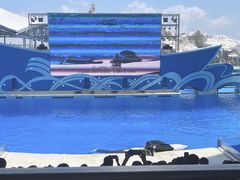 -上海海昌海洋公园