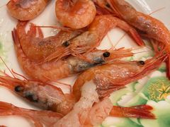 -索菲特酒店·海鲜自助 ·聚餐厅