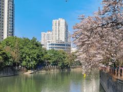 -红星桥(地铁站)