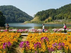 -广州市石门国家森林公园