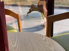 -丽华快餐(红庄国际店)