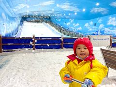 -世界之窗阿尔卑斯冰雪世界
