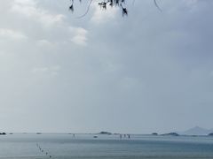 -马銮湾景区