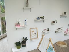-有猫主题·治愈系猫咖(曾厝垵店)