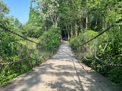 -桤木河湿地公园