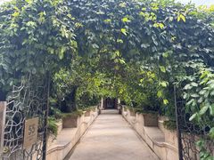 -伯衡55·吉品轩(乌鲁木齐南路店)