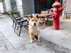 -飞马旅黎黄陂路文旅街区