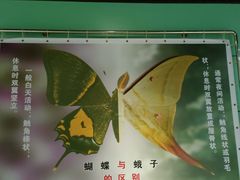 -上海昆虫博物馆