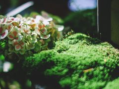-边渡咖啡烘焙店(昙华林店)