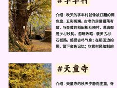 -四明山国家森林公园