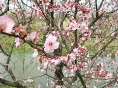 -城门口平价大排档·火锅·干锅·小炒