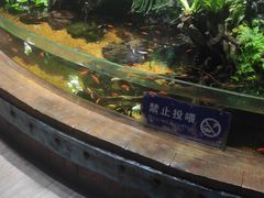 -太平洋海底世界