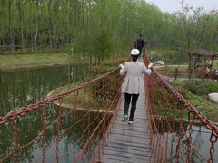 -合肥滨湖国家森林公园