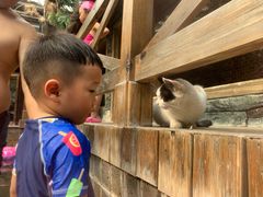 -龙达温泉生态城