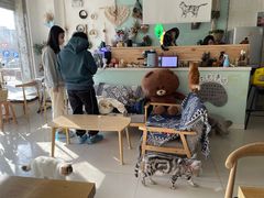 大堂-平行世界·猫咖(首经贸店)