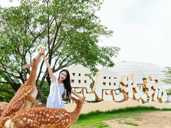 -盈香心动乐园