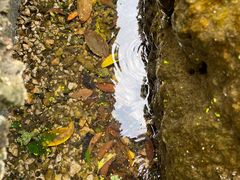 -成都市活水公园