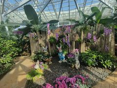 -石家庄市植物园