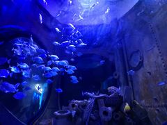 -成都浩海立方海洋公园