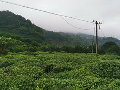 -灵光寺