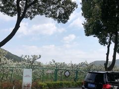 -树山生态村