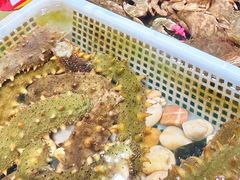 -旺角小渔村(幸福中路店)