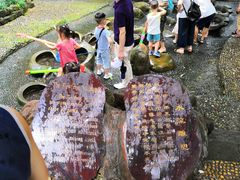 -成都市活水公园