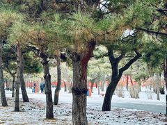 -北陵公园