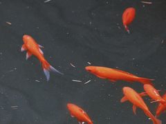 -东华门大街小区