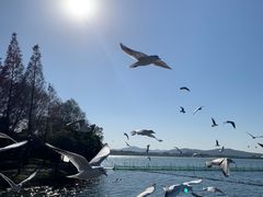 -渤公岛生态公园