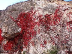 景点-百里山水画廊乌龙峡谷
