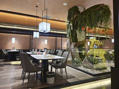 -阿露佳·舌尖上的安吉菜