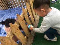 -萌宠亲子动物乐园(槐房万达店)