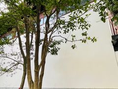 -秋霞圃