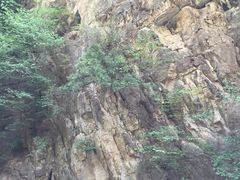 -北京上方山国家森林公园
